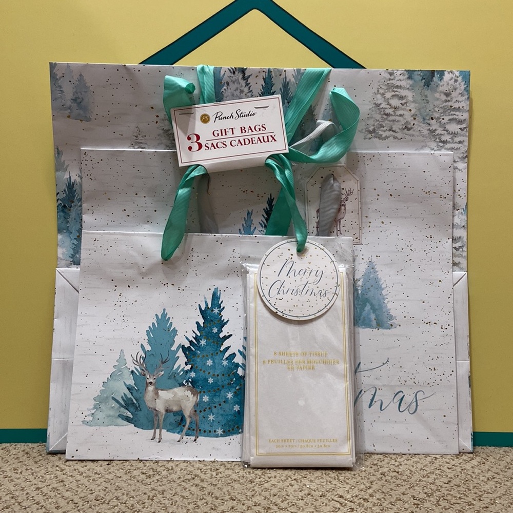 Punch Studio Gift Bag Set